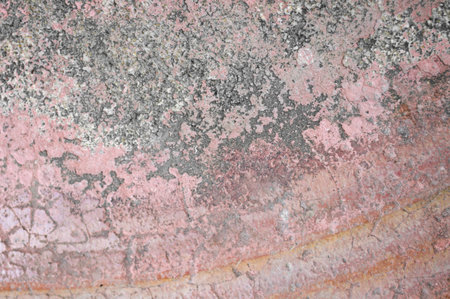 grunge rough cement wall textureの写真素材