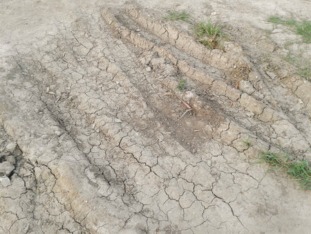 Truck wheel print on dirt roadの写真素材