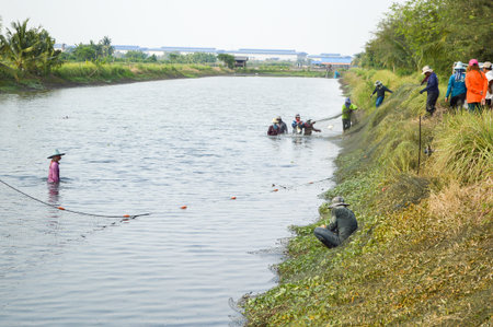 Thailand farmers are harvesting fish from their pond with a fishing net in Chachoengsaoのeditorial素材