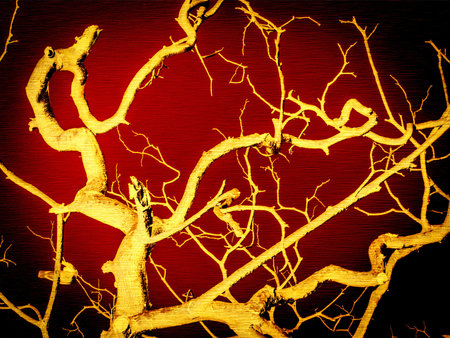 gold branch illustrationの写真素材