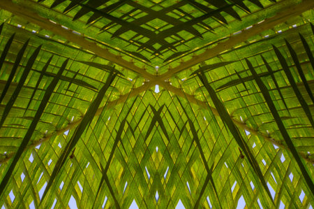 art green abstract pattern backgroundの写真素材