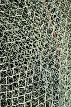 Closeup of a fishing net