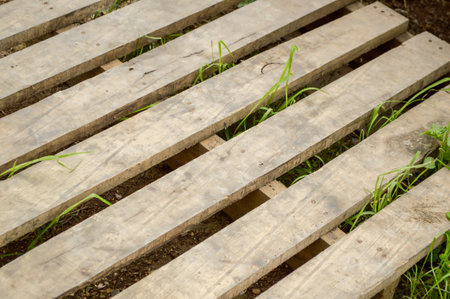 wood plank floorの写真素材