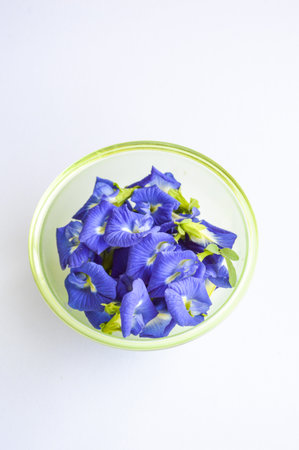 blue Butterfly pea flower on white backgroundの写真素材