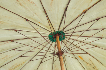 under Umbrellaの写真素材