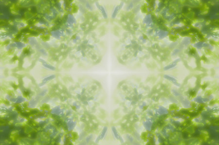 green abstract pattern backgroundの写真素材