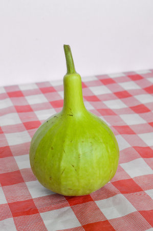 Bottle gourd on tablecloth Lagenaria sicerariaの写真素材
