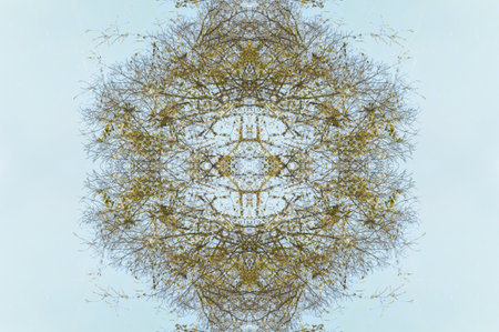 art grunge abstract pattern illustration backgroundの写真素材