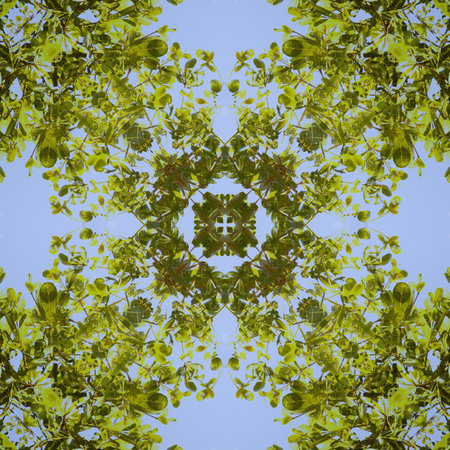 art green and blue abstract illustration backgroundの写真素材