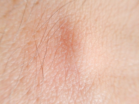 skin texture macroの写真素材
