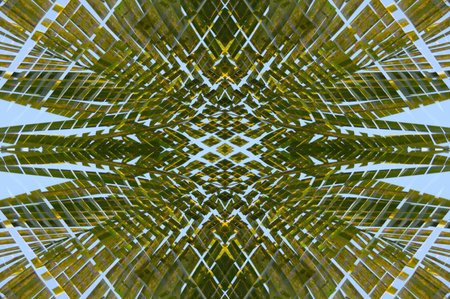 art green abstract pattern backgroundの写真素材