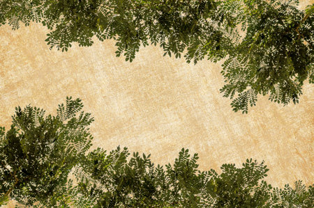 green leaves on wood plank backgroundの写真素材