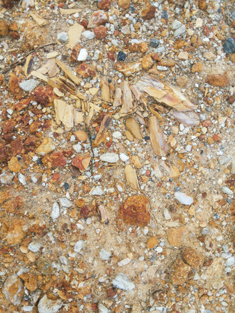 stone on the groundの写真素材