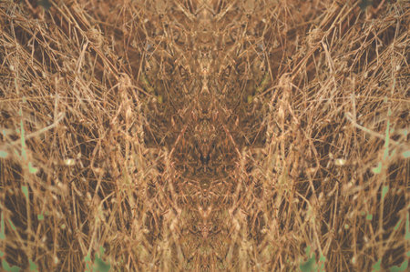 art grunge brown abstract pattern illustration background