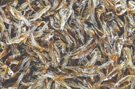 dry salt fishの写真素材