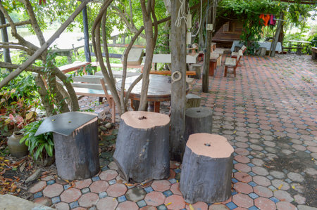 waterfront garden in country Thailandの写真素材