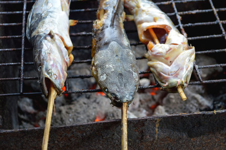 Catfish are grilled with charcoalの写真素材