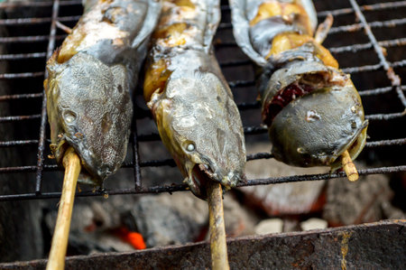 Catfish are grilled with charcoalの写真素材