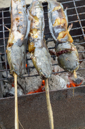 Catfish are grilled with charcoalの写真素材