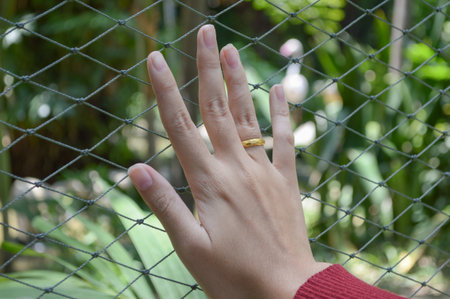 hand on rope netの写真素材