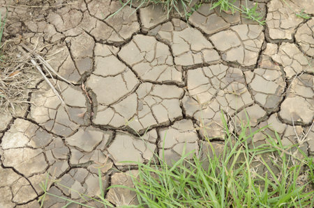 cracked soil in country Thailandの写真素材