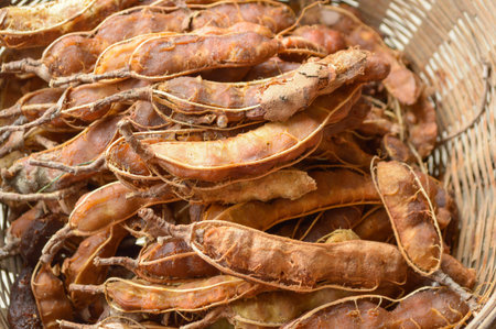 fresh tamarind on bamboo basketの写真素材