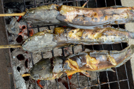 Catfish are grilled with charcoal