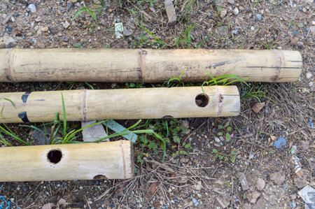 bamboo wood pole on the groundの写真素材