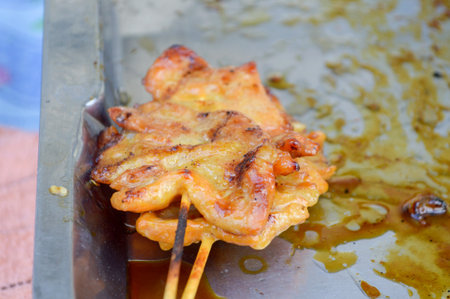 hot pork grillの写真素材