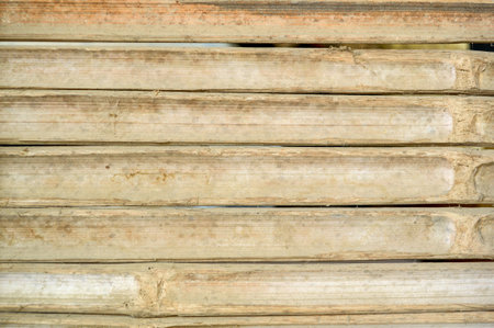 bamboo wall texture