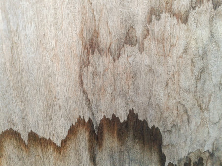old wooden plank texture backgroundの写真素材