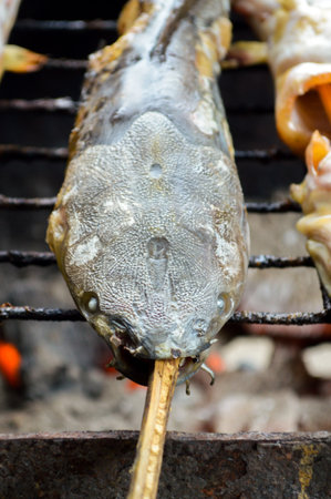 Catfish are grilled with charcoalの写真素材