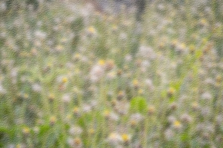 art grunge blur flower texture backgroundの写真素材