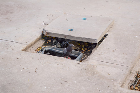 square shape cement hole covering in streetの写真素材