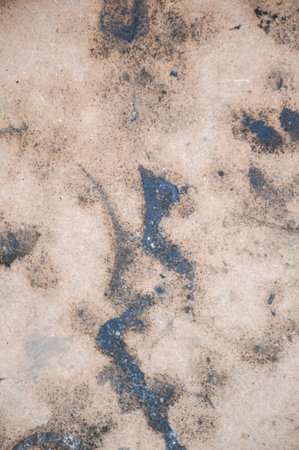 old grunge cement wall textureの写真素材