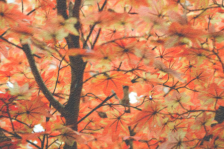 grunge leaves have orange color background