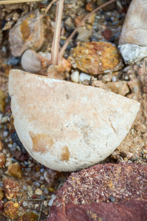 stone on the groundの写真素材