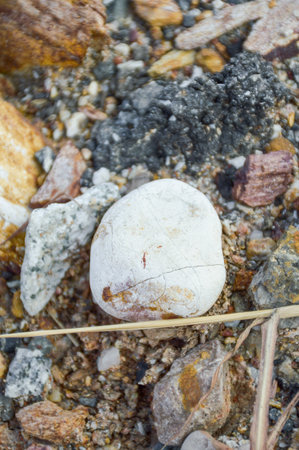 stone on the groundの写真素材
