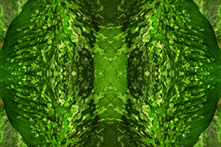 art grunge green abstract pattern illustration background