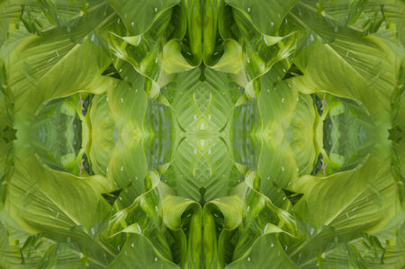 art grunge green abstract pattern illustration backgroundの写真素材