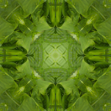 art grunge green abstract pattern illustration background