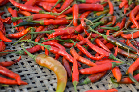 dry red chili on bamboo floorの写真素材