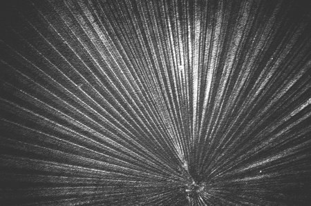 art grunge abstract pattern illustration backgroundの写真素材