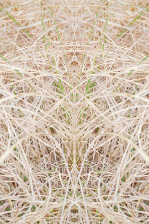 art grunge brown abstract pattern illustration backgroundの写真素材