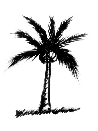 coconut tree illustrationの写真素材