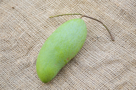 green mango on brown fabricの写真素材