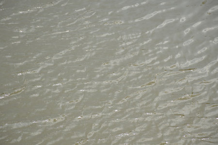 water surfaceの写真素材