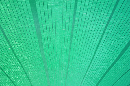Green sun shading net textureの写真素材