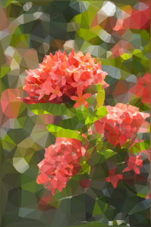 Low polygon red ixora flowerの写真素材