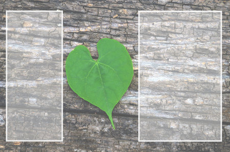 green heart leaves on wood plank background
